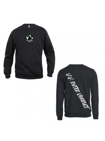 Basic Roundneck Senior